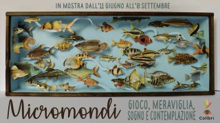 Micromondi di Simona Cozzupoli in mostra al Colibrì di Milano