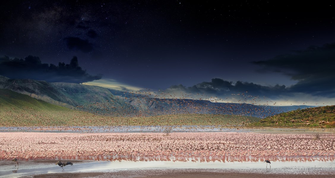 Stephen Wilkes, Flamingos, Lake Bogoria, Kenya, Africa, 2017
