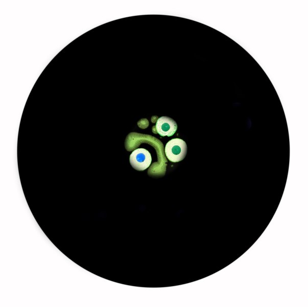 ..................E IO TRA DI VOI image 4