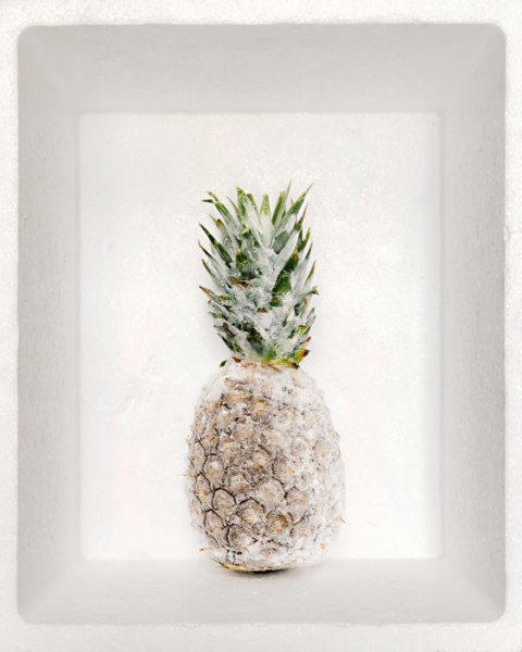 Natura Sospesa Santiago Carrera