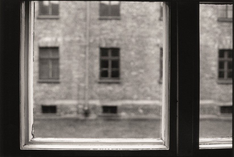 TUTTE QUELLE COSE image 3