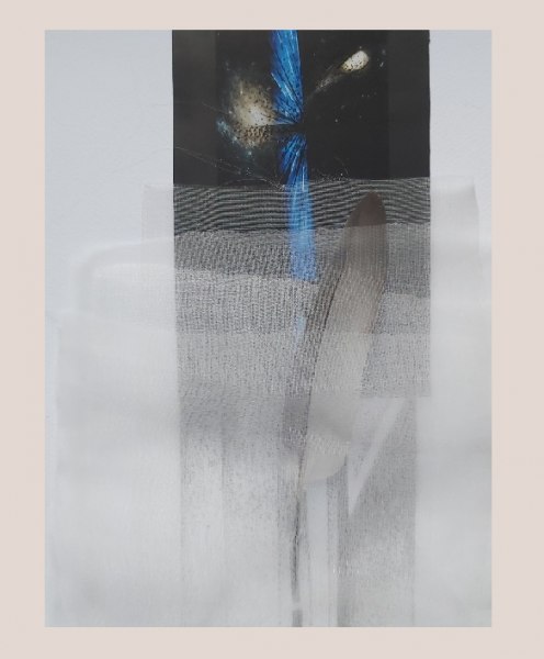 Opera di Ernesto Terlizzi