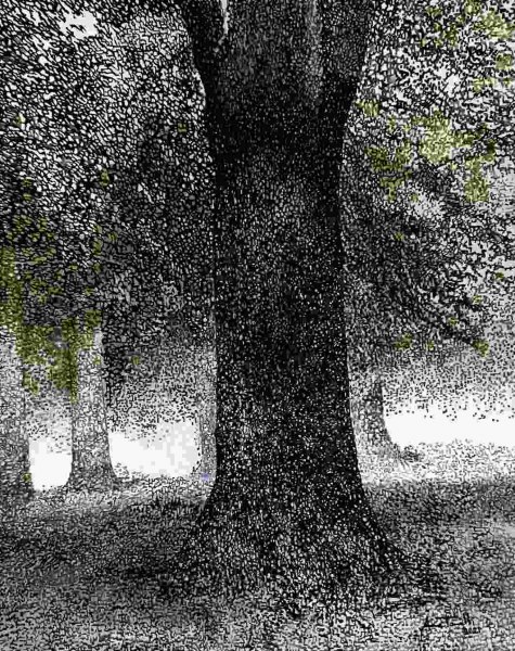 Anna Tonelli Anima antica Olio su tela Cm120x150