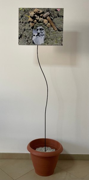 Testa scolpita by Gianni Chiriatti