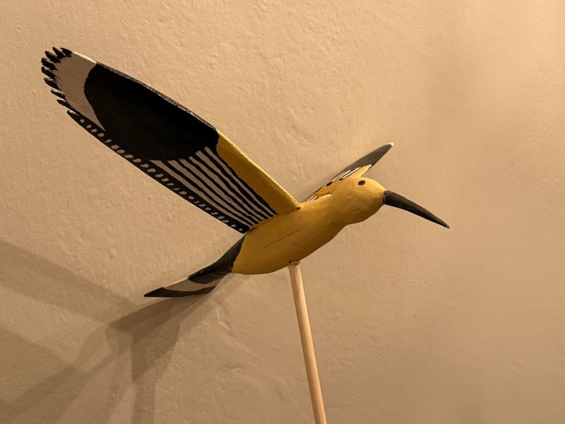 Fabrizio Guidi - Volo di Uccelli image 3