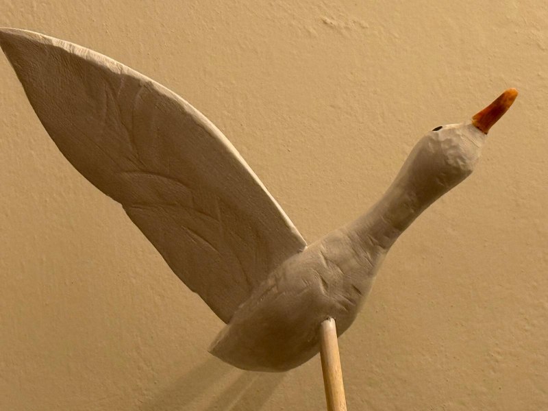 Fabrizio Guidi - Volo di Uccelli image 4