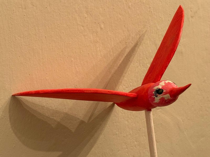 Fabrizio Guidi - Volo di Uccelli image 2