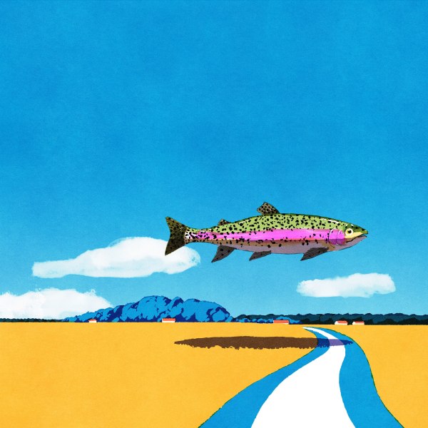 Kento Iida, Rainbow trout
