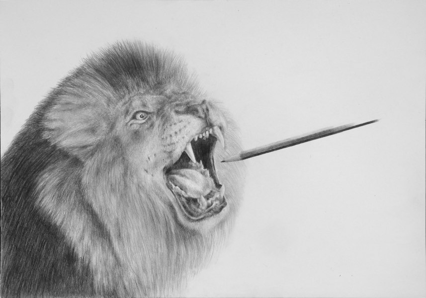 Massimiliano Galliani, disegno su carta