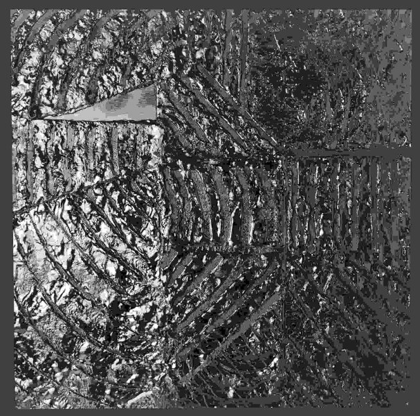 Daniele Piemontese, Nere Consistenze