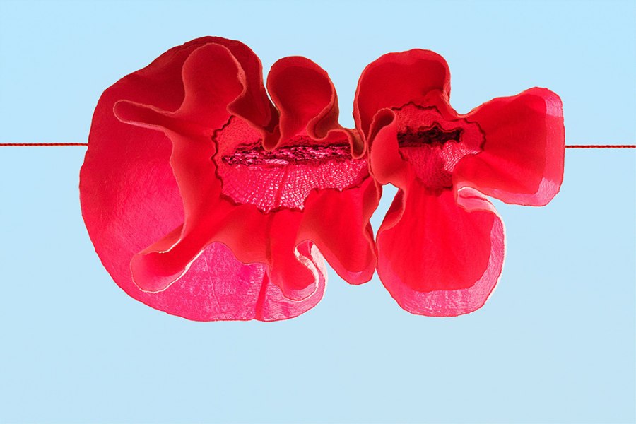 Sally Gall, Red Poppy, 2014, stampa fine art a pigmenti, cm96.5x140