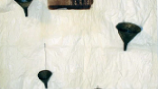 Maurizio Pellegrin, Cactus #2, 2014, oggetti e cianotipo su carta, courtesy dell’artista