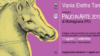Palio in Arte - 2019 - Vania Elettra Tam - Montagnana