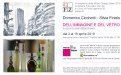 Dell'Immagine e del Vetro - Domenico Cicchetti e Silvia Finiels