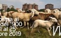 Il racconto corale di Mirafiori sud, Torino, in mostra al Polo del ‘900  da venerdì 11 a venerdì 25 ottobre 2019