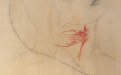 Omar Galliani, Nuove anatomie, 2003, matita su tavola e pigmento rosso, cm. 251x185
