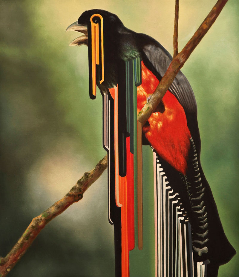 Maurizio Bongiovanni – Copertina n.372