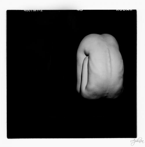Conceptual