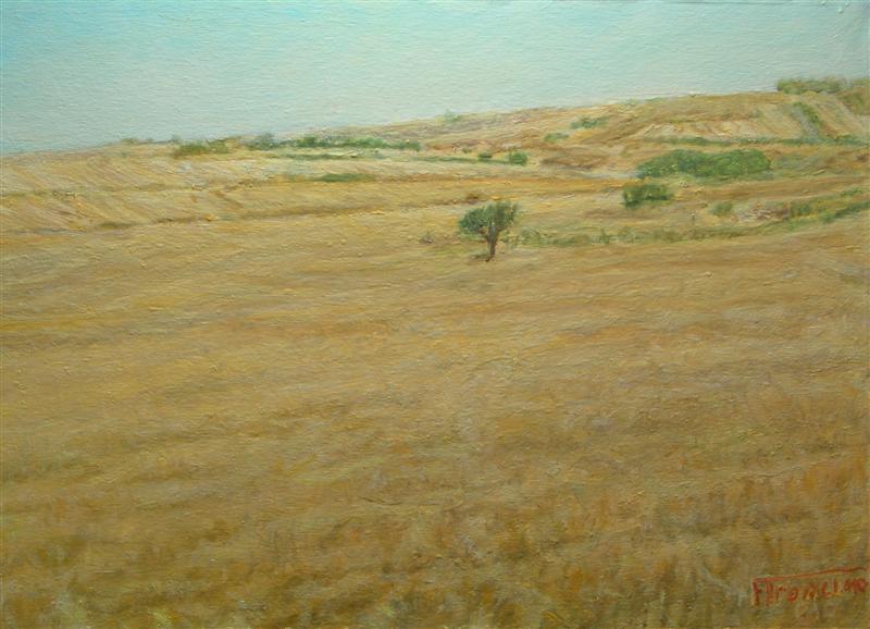 Paesaggi e soggetti natualisici della Sardegna