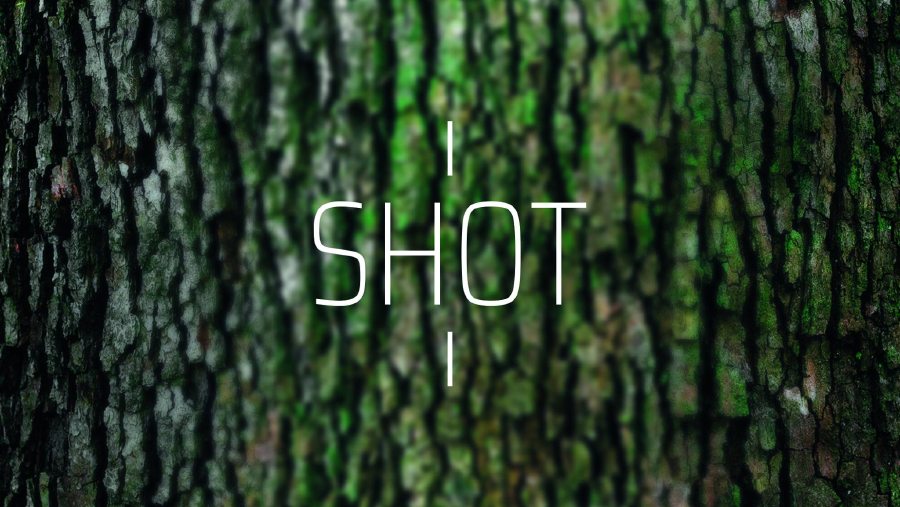 SHOT_residenza artistica call for artist