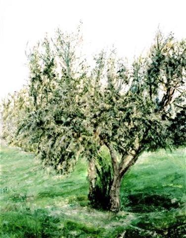 SOGGETTI NATURALISTICI