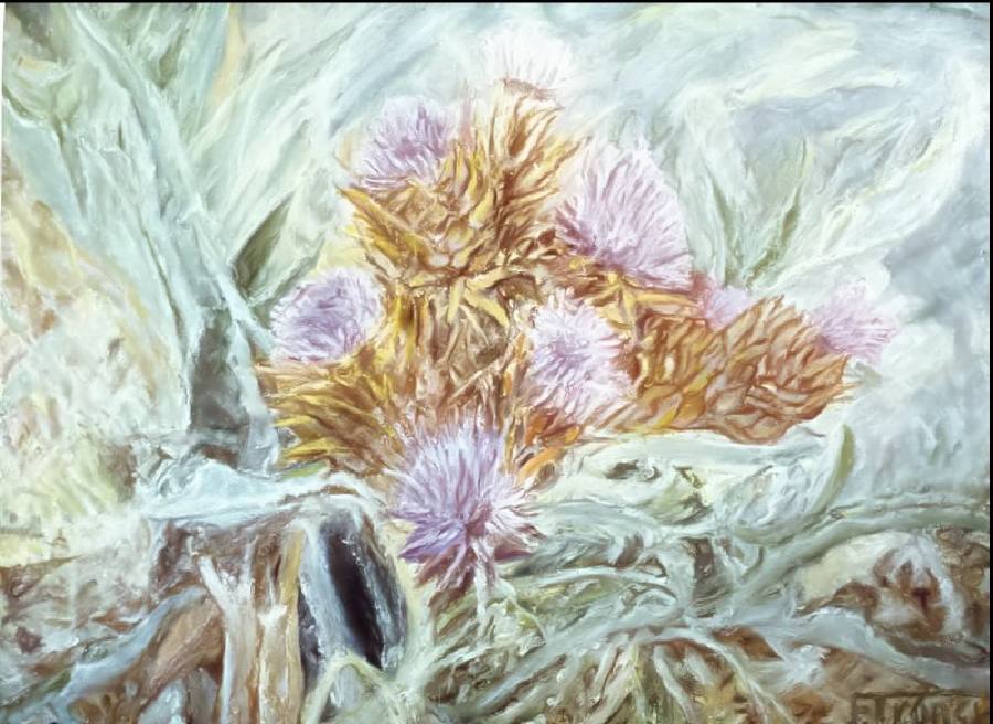 SOGGETTI NATURALISTICI