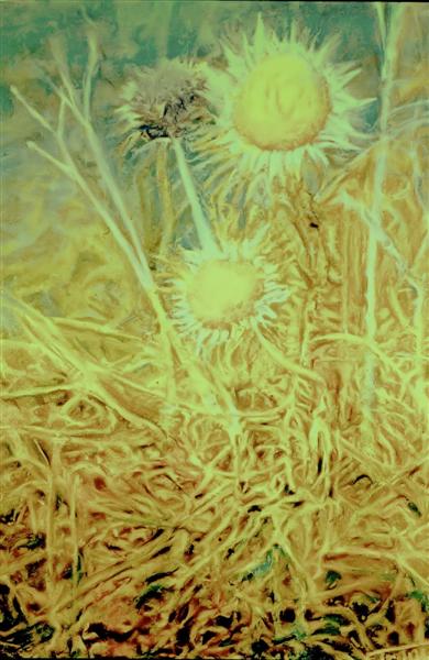 Paesaggi e soggetti natualisici della Sardegna