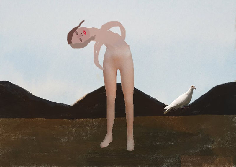 Azadeh Ardalan – Copertina n.387