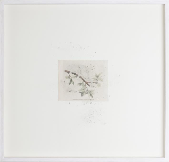 Gianluca Quaglia – Copertina n.377