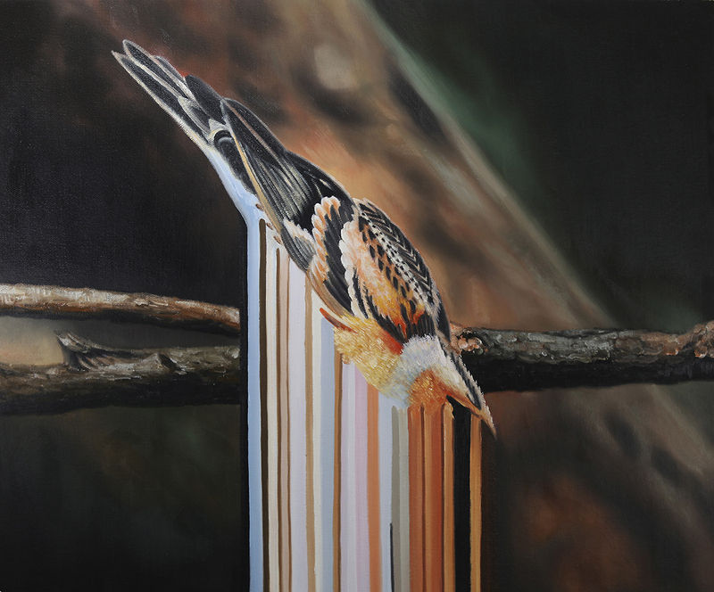 Maurizio Bongiovanni – Copertina n.372