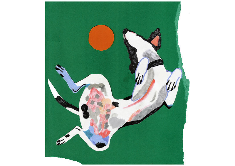 Michele Papetti – Copertina n.392
