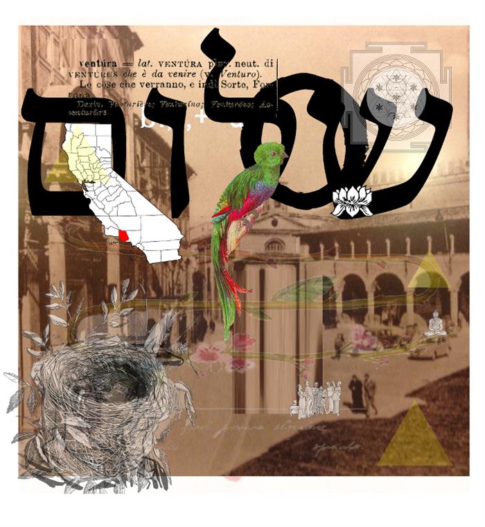 Giacomo Giovannetti – Copertina n.358