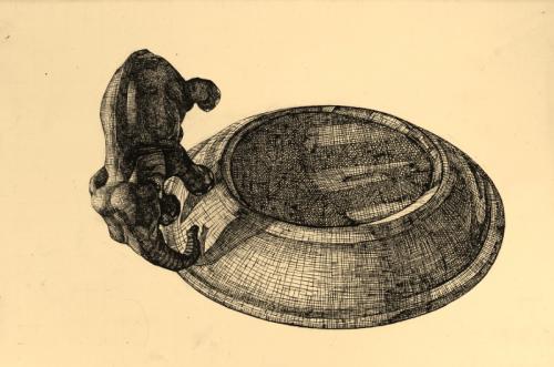 “orbita domestica”