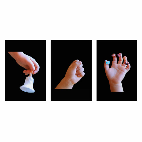 Il tempo delle farfalle