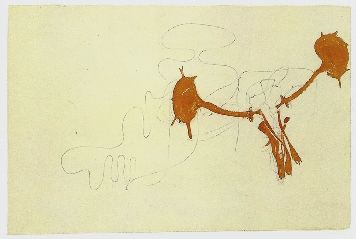 Joseph Beuys – Copertina n.300