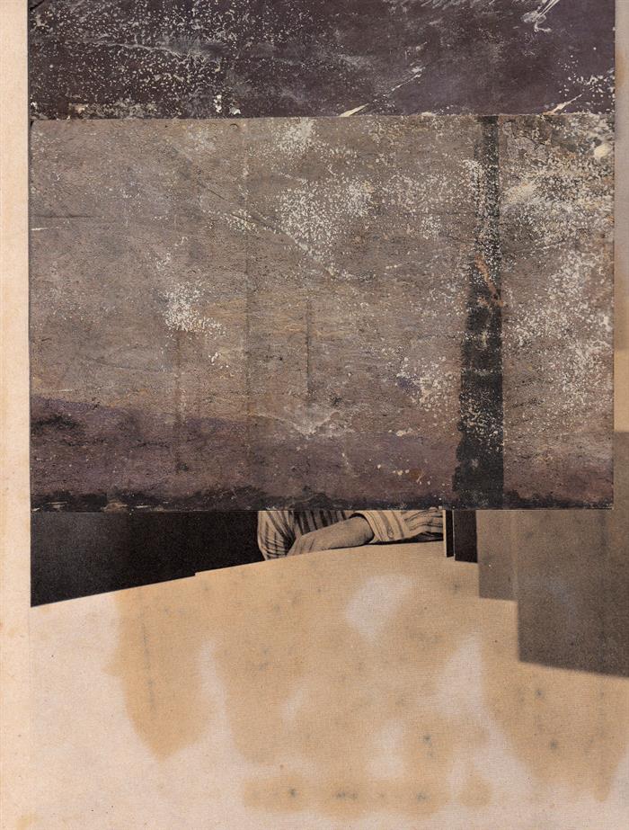 Beatrice Squitti – Copertina n.356