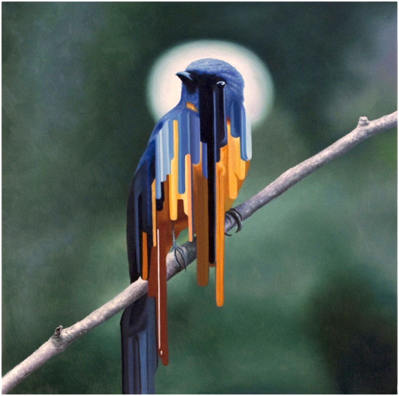 Maurizio Bongiovanni – Copertina n.372