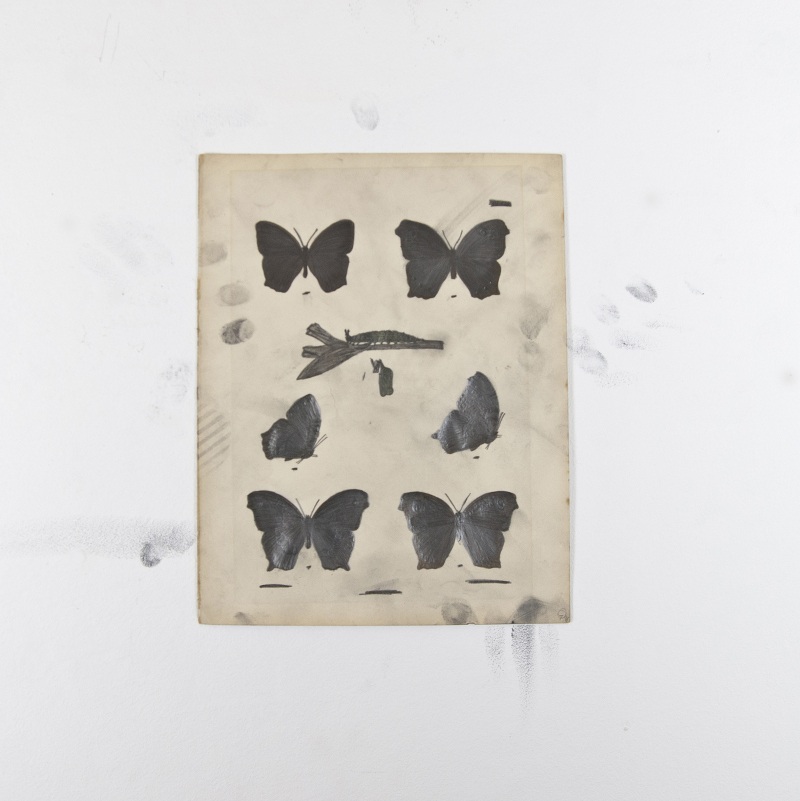 Gianluca Quaglia – Copertina n.377