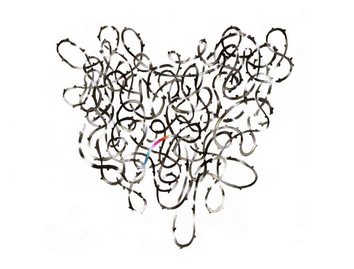 Disease. Hand drawing. By Noumeda Carbone