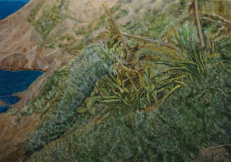 Paesaggi e soggetti natualisici della Sardegna