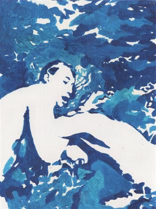 Nicolò Bruno – Copertina n.369