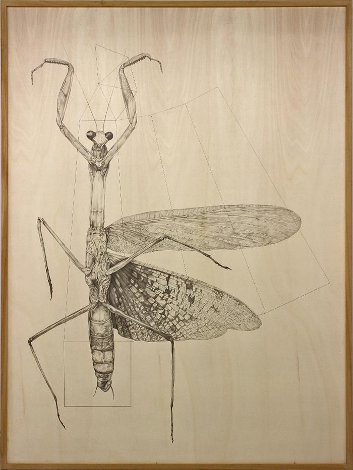 Leonardo Petrucci – Copertina n.348