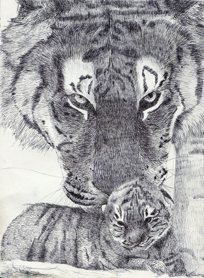 Tigre e cucciolo