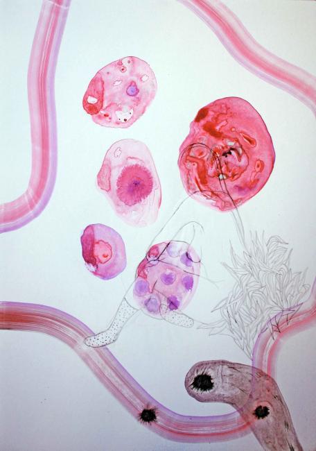 Vertigine ad occhi chiusi, mixed media su carton plume, 30×40 cm, 2012